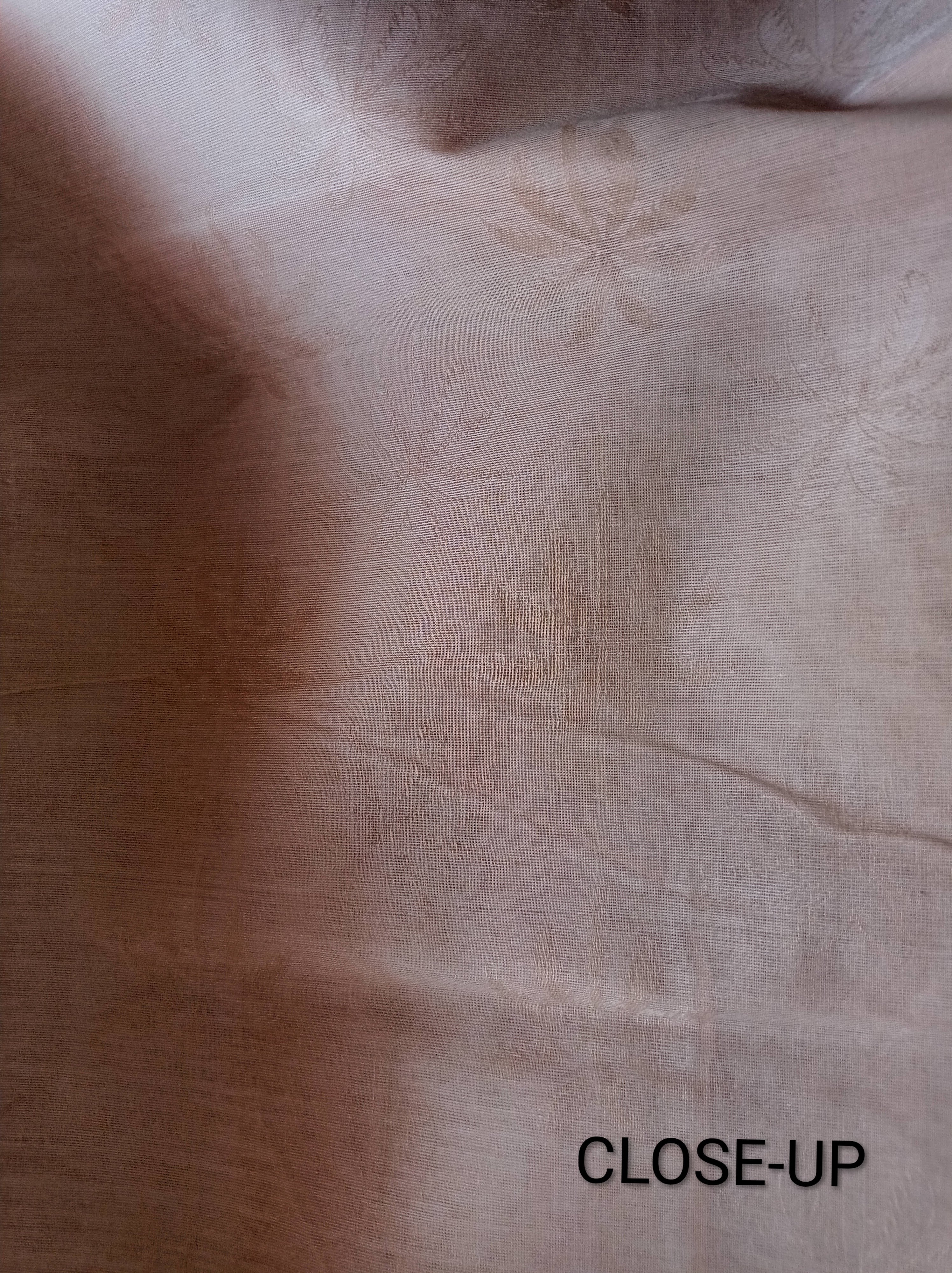 Pastel cream embossed cotton saree with blue thread work